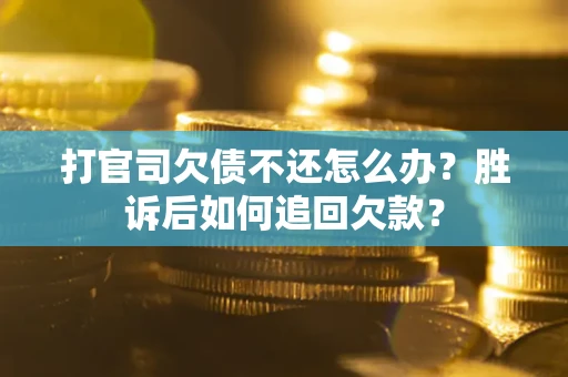 北京打官司欠债不还怎么办？胜诉后如何追回欠款？