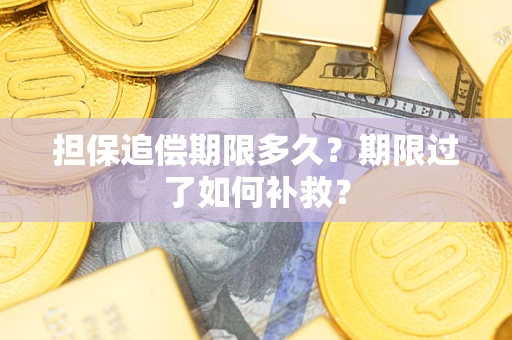 北京担保追偿期限多久？期限过了如何补救？