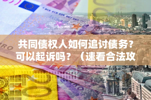 北京共同债权人如何追讨债务？可以起诉吗？（速看合法攻略）