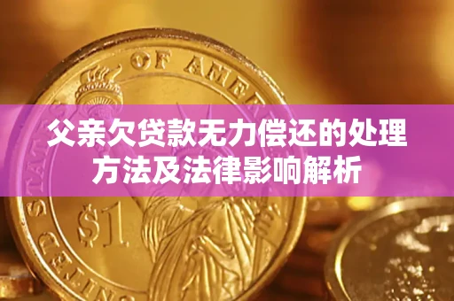 北京父亲欠贷款无力偿还的处理方法及法律影响解析