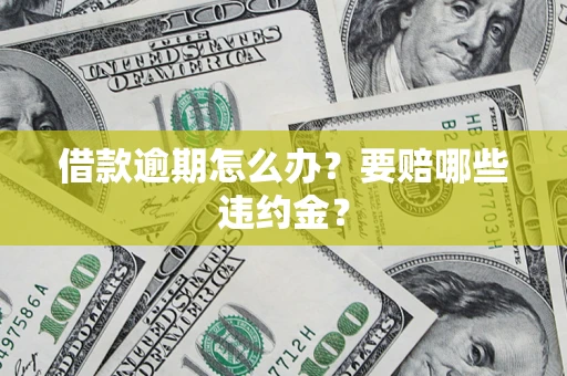 北京借款逾期怎么办？要赔哪些违约金？